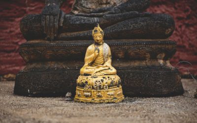 My Journey to Inner Space