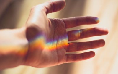 I’m a Rainbow Too